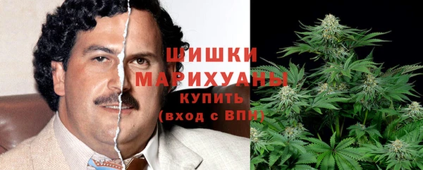 прущие крисы Медвежьегорск