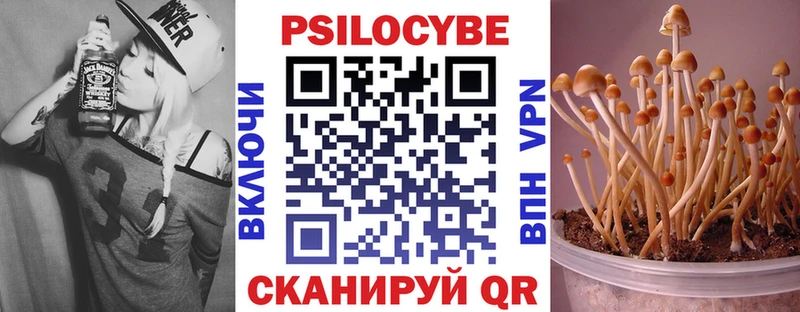 Галлюциногенные грибы Magic Shrooms Нововоронеж